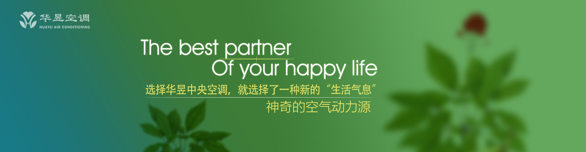 以柔克刚网